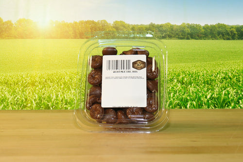 Wilber Milk Chocolate Buds