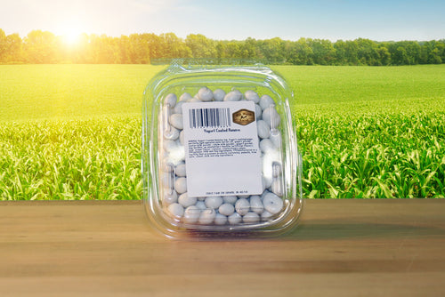 Yogurt Coated Raisins